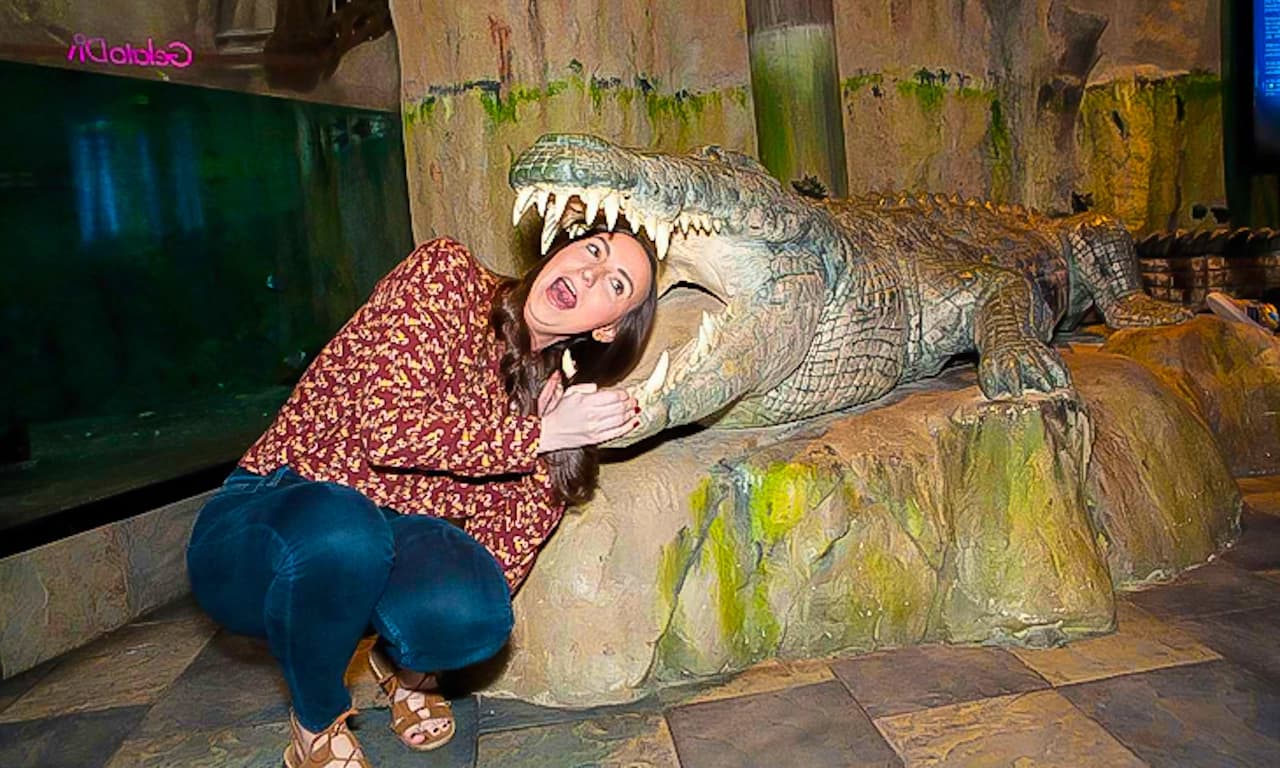 Thrilling Encounters