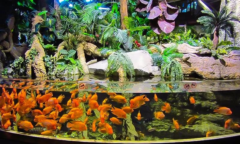 Touch Rocky Shore Creatures