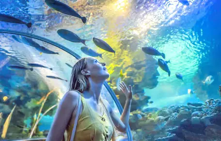 Chariot3-2x2-1-scaled