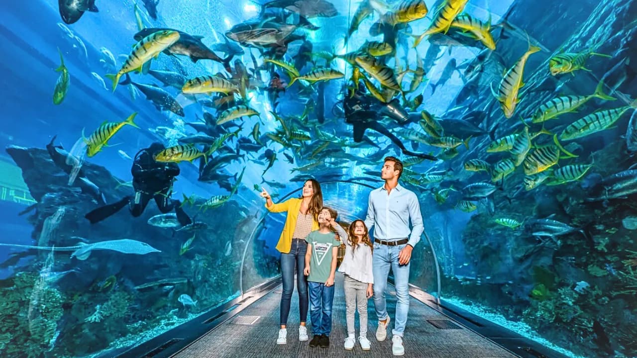 Chariot3-2x2-1-scaled