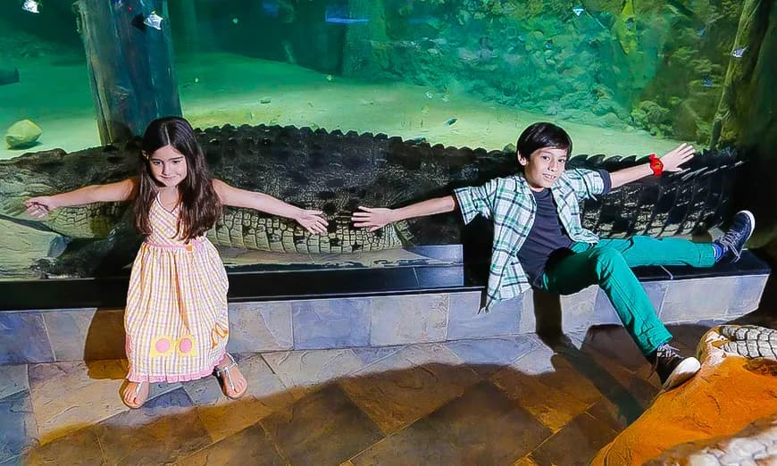 Chariot3-2x2-1-scaled